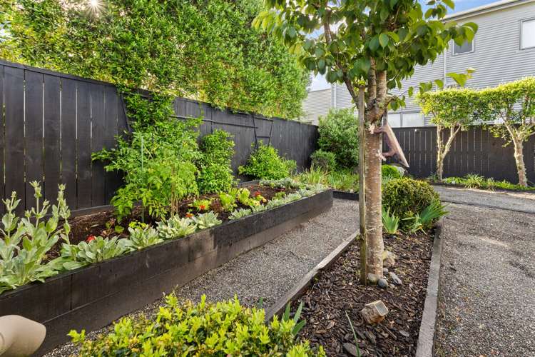 6 Mangatawhiri Road Omaha_15