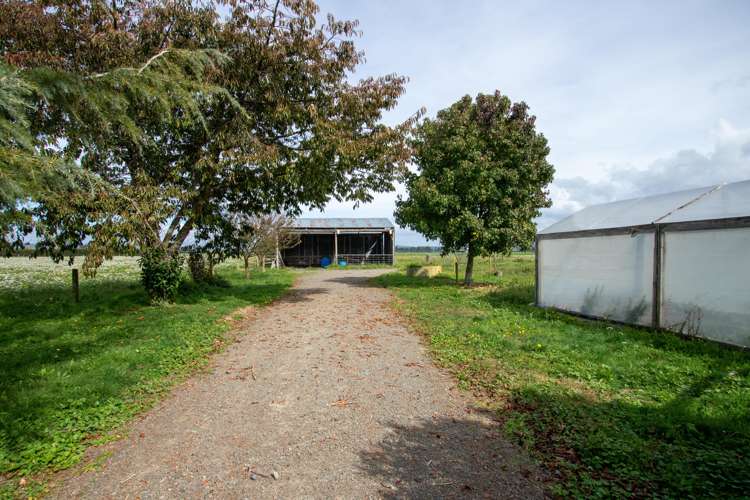 120 Mangamate Road Murupara Surrounds_2