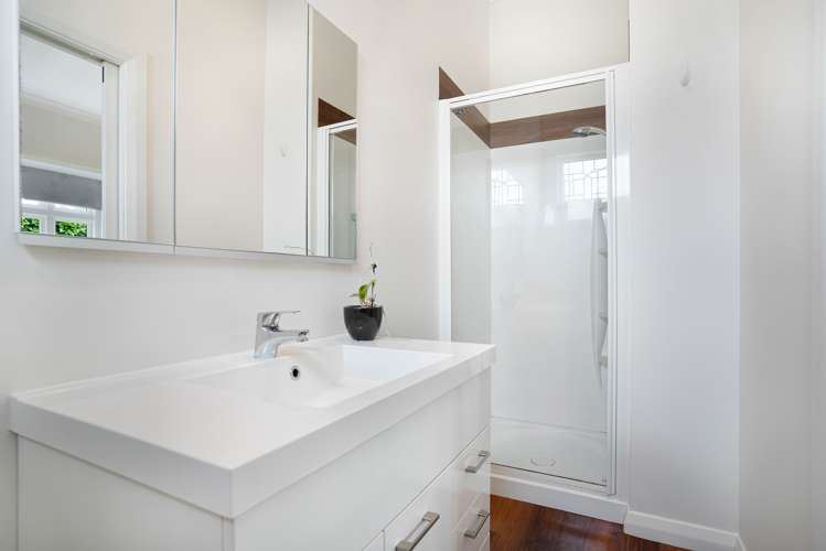 23 Cornwall Street Masterton_10