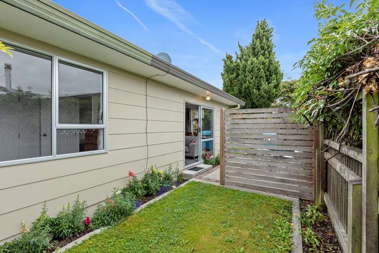 71b Stephenson Street Blenheim Central_15