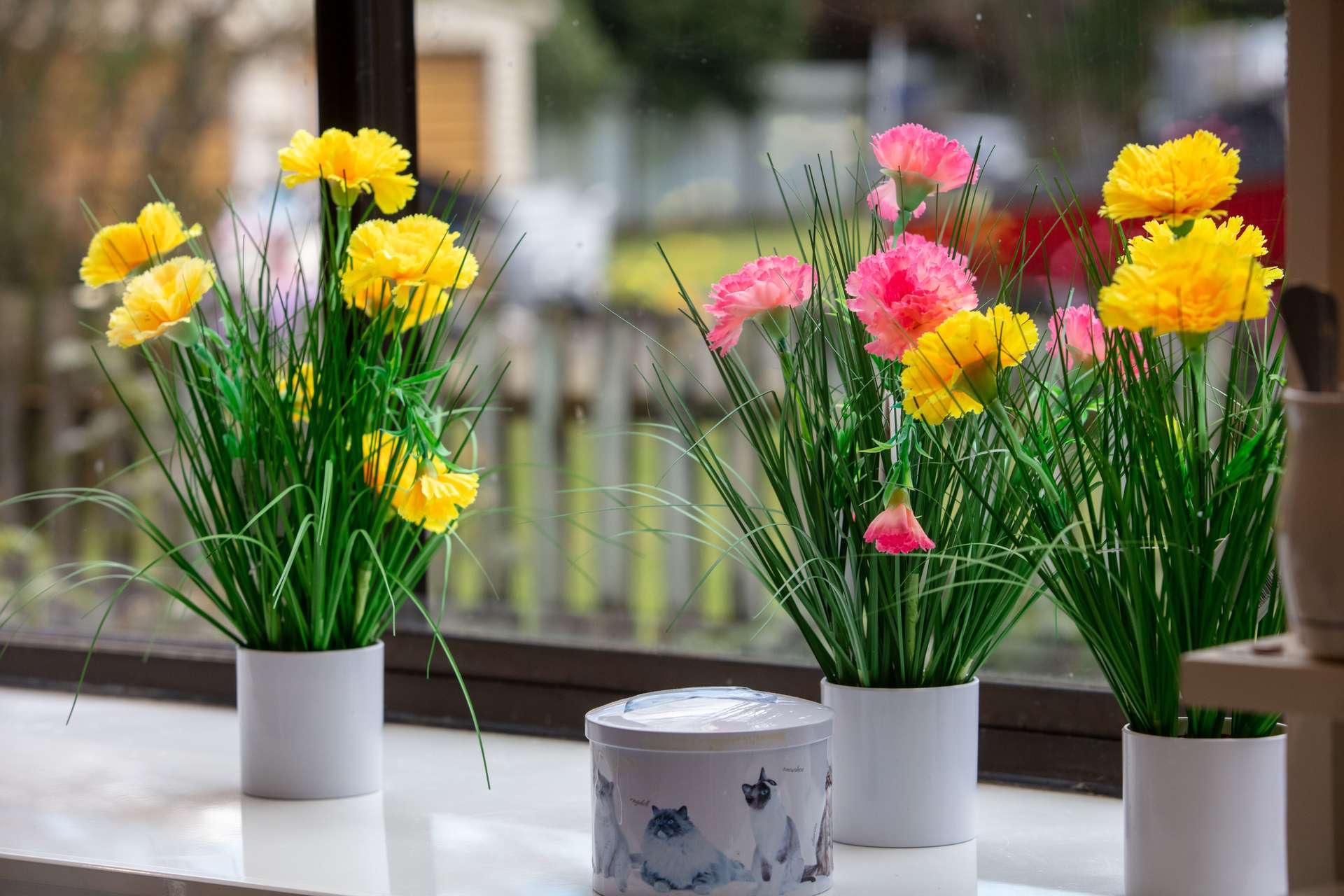 7b Fairview Road Katikati Western Bay Of Plenty Houses for Sale