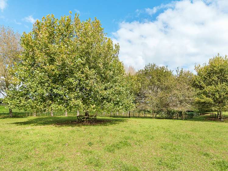 432 Batty Road Karaka_2