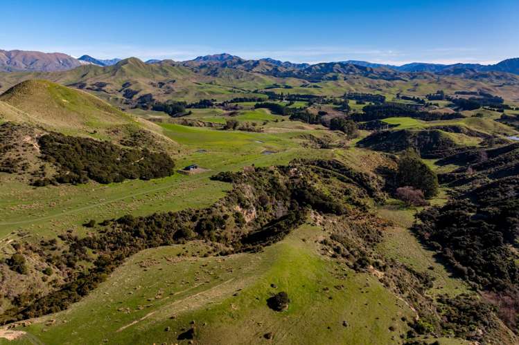 7611 State Highway 1 Ward_12