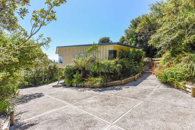 49A Chamberlain Street Tahunanui_3