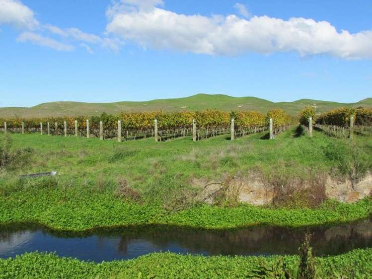 1928 Maraekakaho Road Central Hawkes Bay Coastal_6