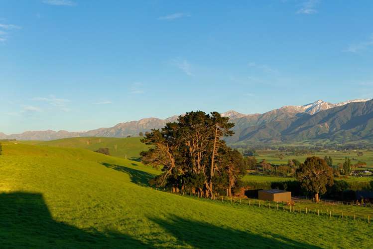 11 Shearwater Drive Kaikoura_35