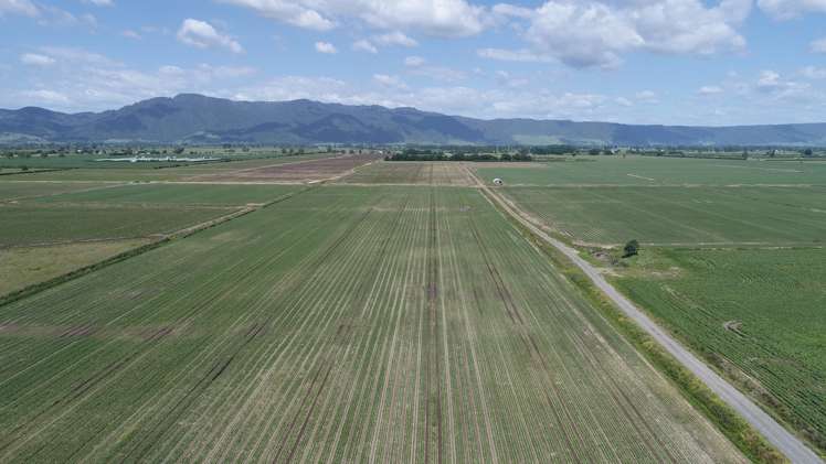 1291 Alexandra Road Waharoa_8