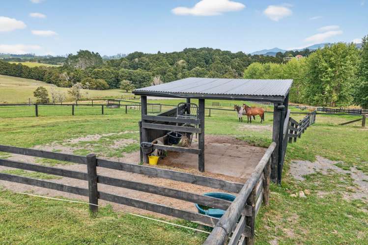 228 Knight Road Ruatangata West_24