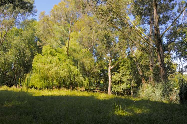 132 Bradshaws Road Waimate_21