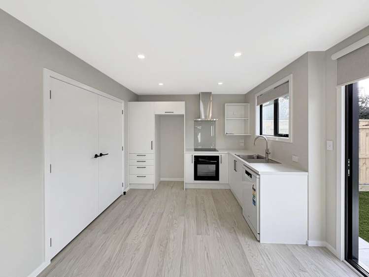 86B Hinau Street 1200_3