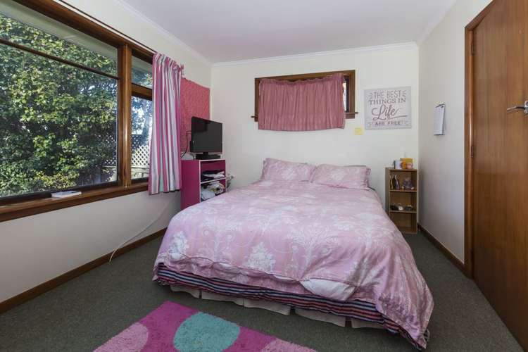 43 Horseshoe Lake Road Shirley_9