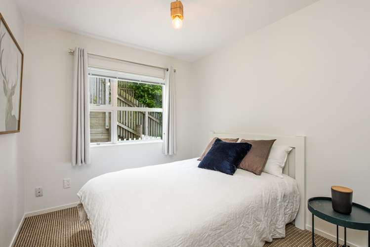 3b Anderson Terrace Mount Cook_9