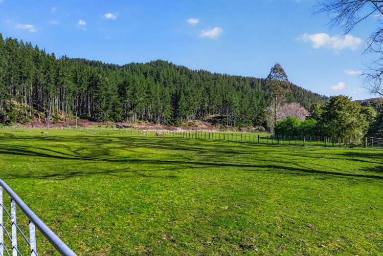 1513 Hikumutu Road Taumarunui_21