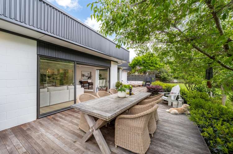 18 Ara-Kotinga Whitford_18