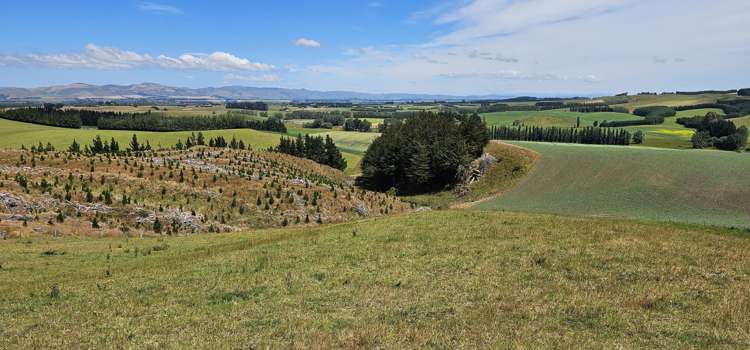 289 Otama Valley Road Otama_16