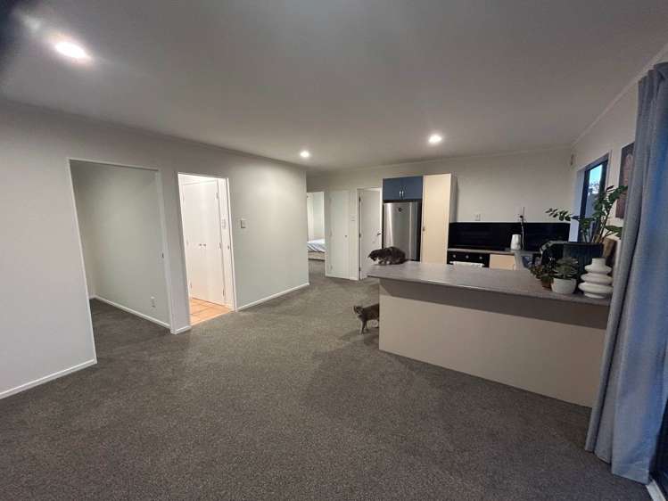 33 Puriri Street Helensville_7