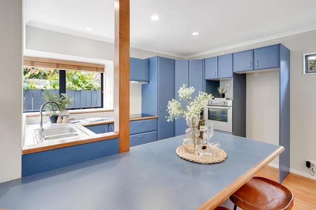 3A Wilson Street Hamilton East_1