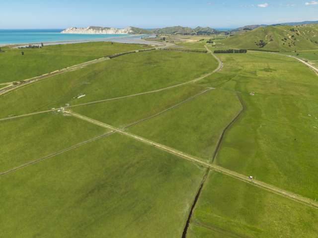 1343 Wharerata Road Muriwai_3