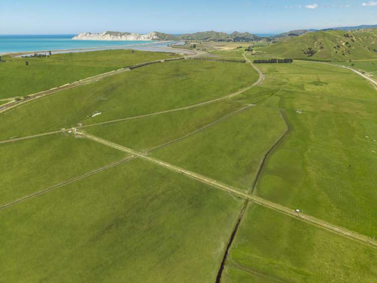 1343 Wharerata Road Muriwai_3