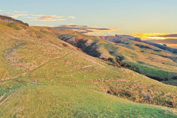 68a Greens Road Linton_9