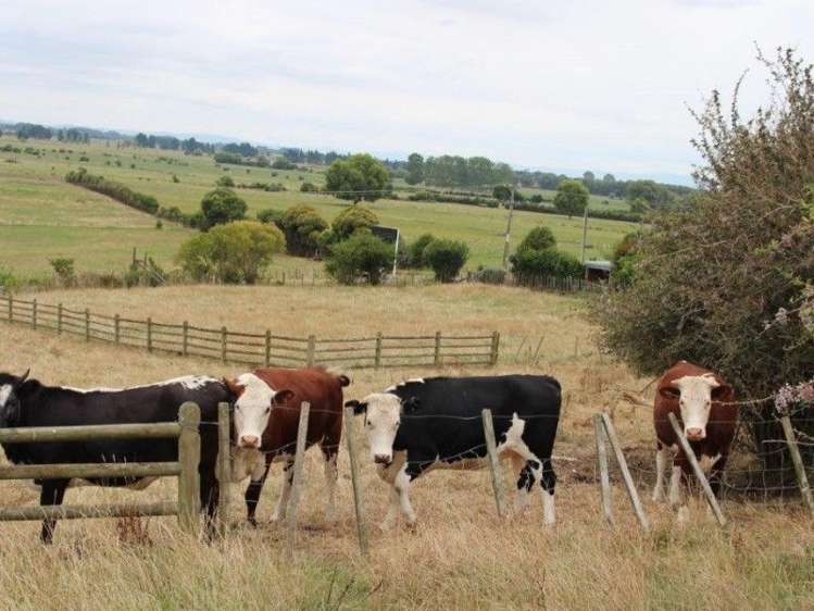 10 Colin Drive Paeroa_3