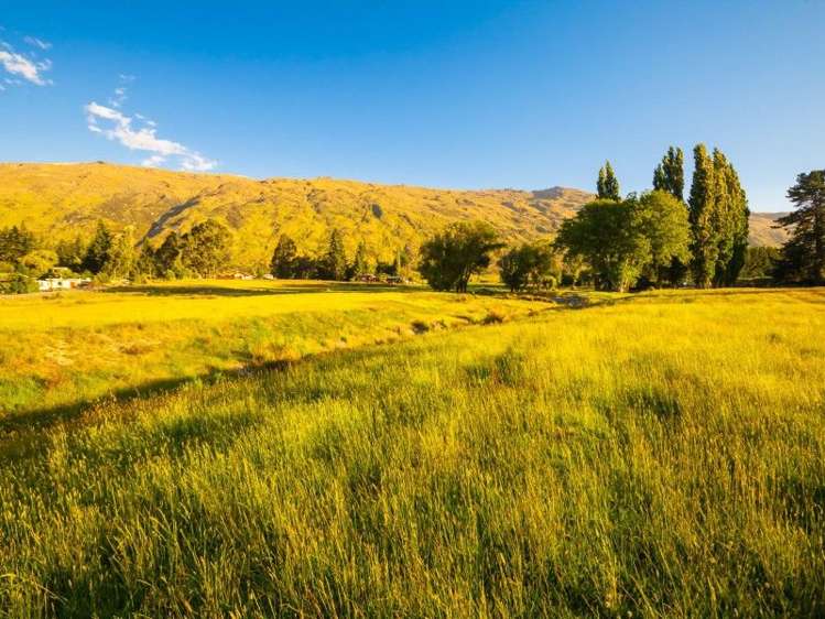 50 Oxford Street Kingston_8