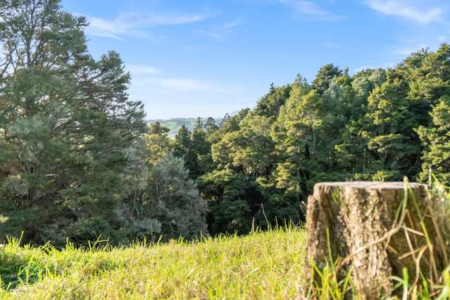 389A Crane Road Kauri_2