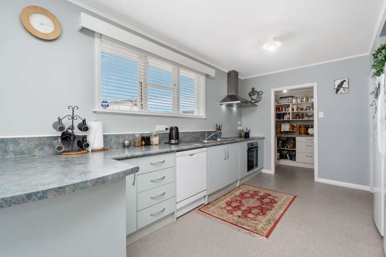 20 Sanders Avenue Morrinsville_0