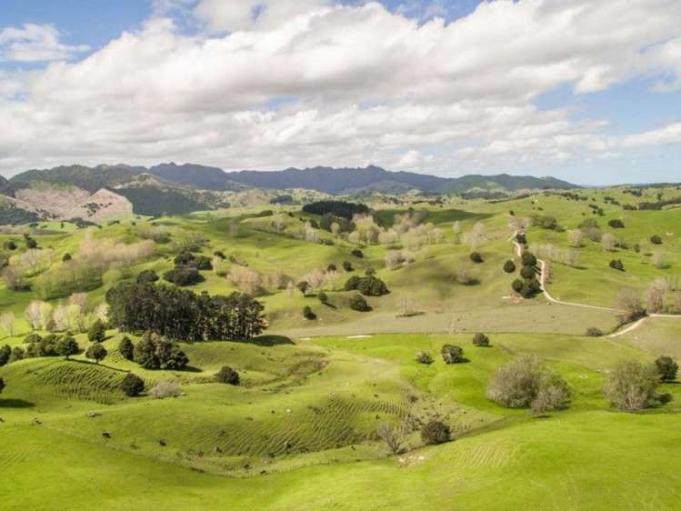 171 Girls High School Road Tangiteroria_8