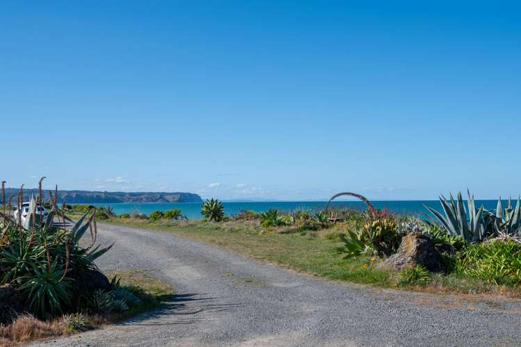 161 Whirinaki Road Eskdale_5