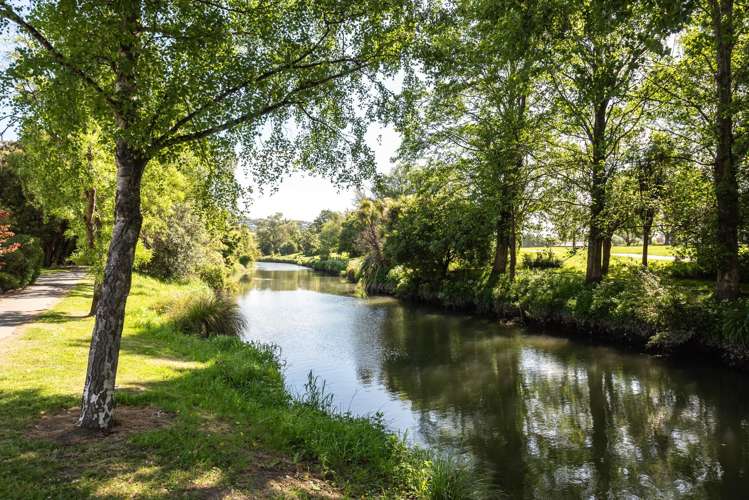 81c Aynsley Terrace Hillsborough_6