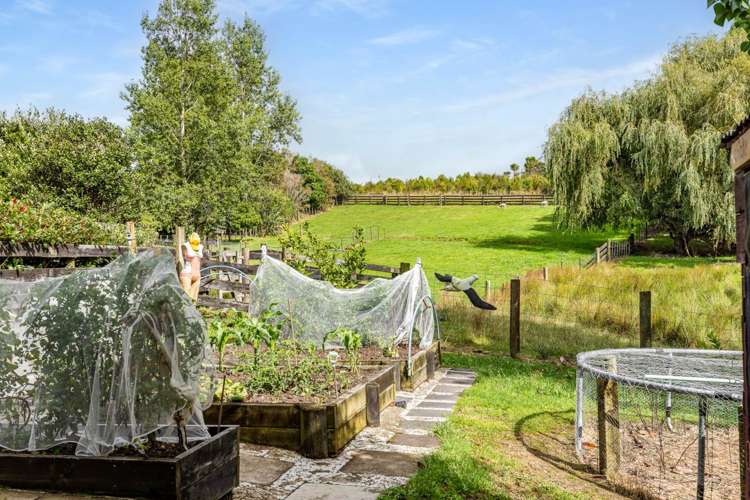 561 Settlement Road Kaiwaka_53