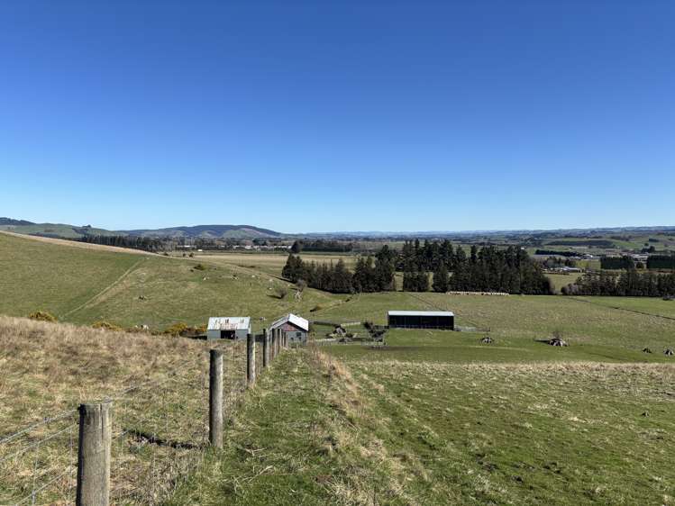 Waihola Highway Waihola_17