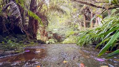 60 Victoria Street, Waikino_2