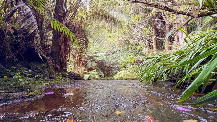 60 Victoria Street, Waikino Waihi_2