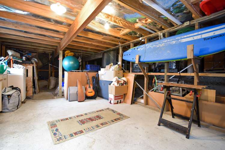 207 Larnach Road Waverley_28