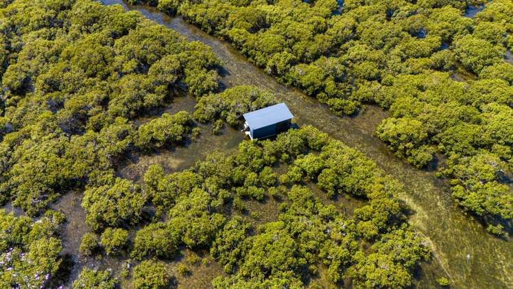 353 Rangiputa Road Karikari Peninsula_63