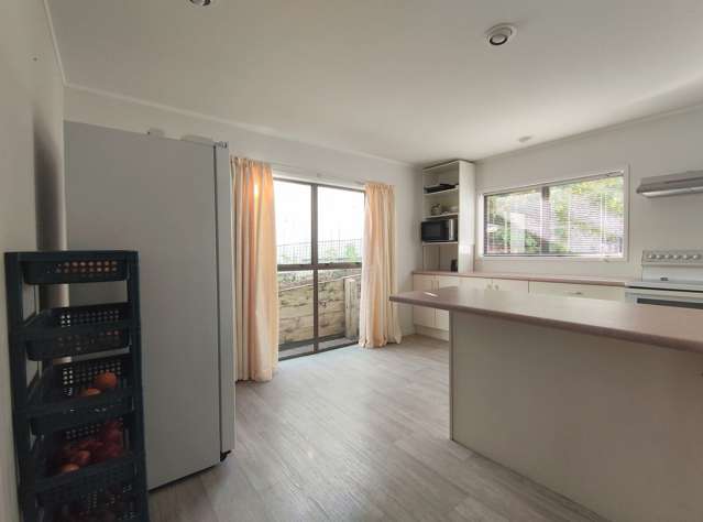 161A Portland Road Remuera_4