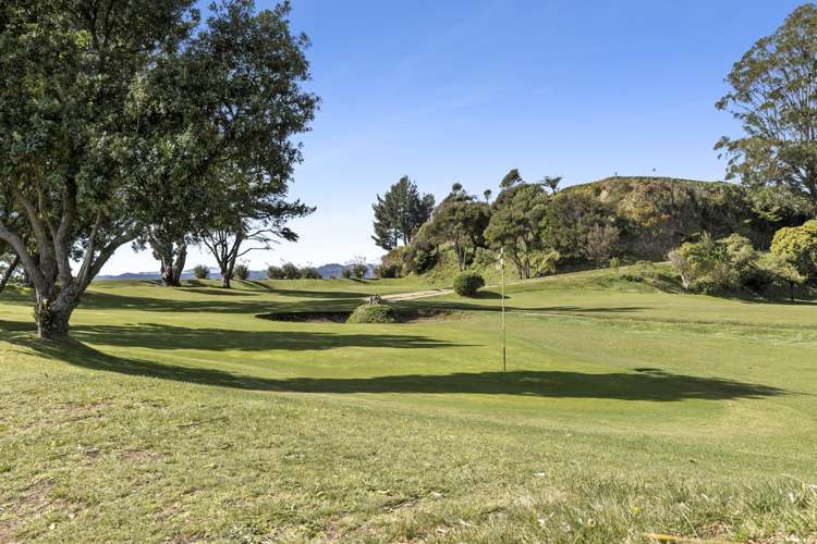 1232 Takaka-Collingwood Highway Onekaka_31