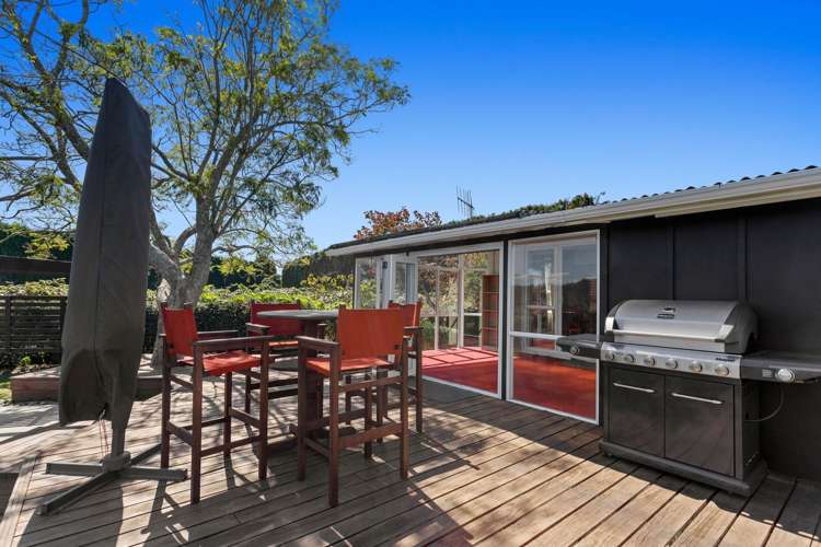 494 Paerata Ridge Road Opotiki and Surrounds_25