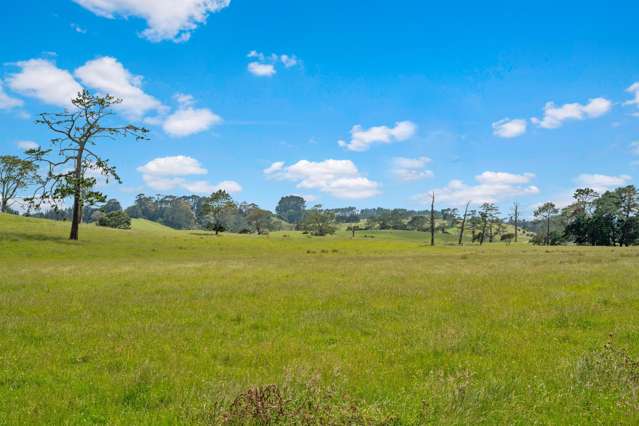 522 Wainui Road Wainui_1