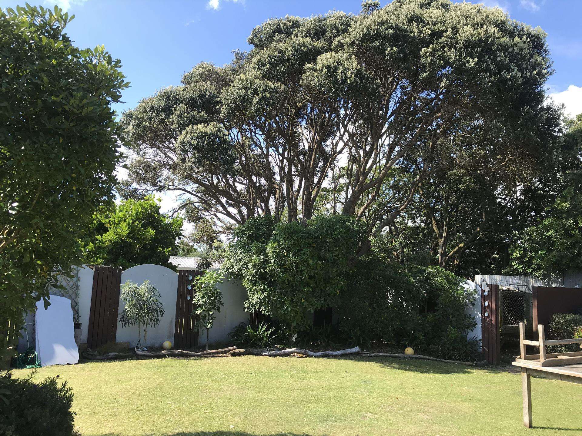 11 Kelly Street Dargaville Surrounds Kaipara Houses for Sale