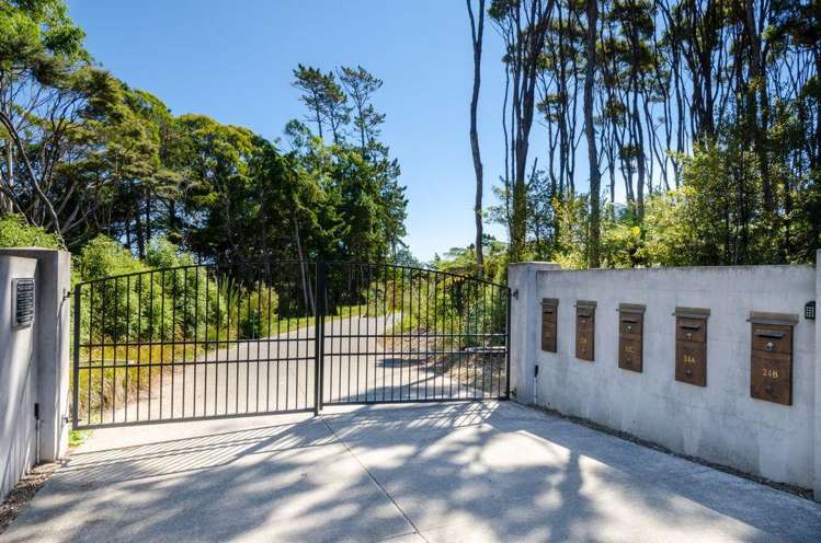 24b Sunnyvale Road Swanson_20