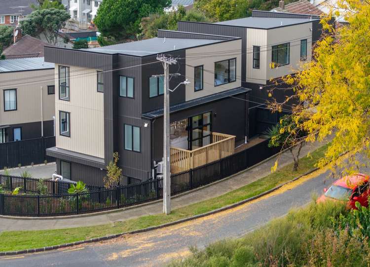 2A Wahanui Road Greenlane_27