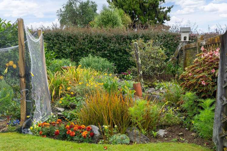 9 Chester Street Levin_13