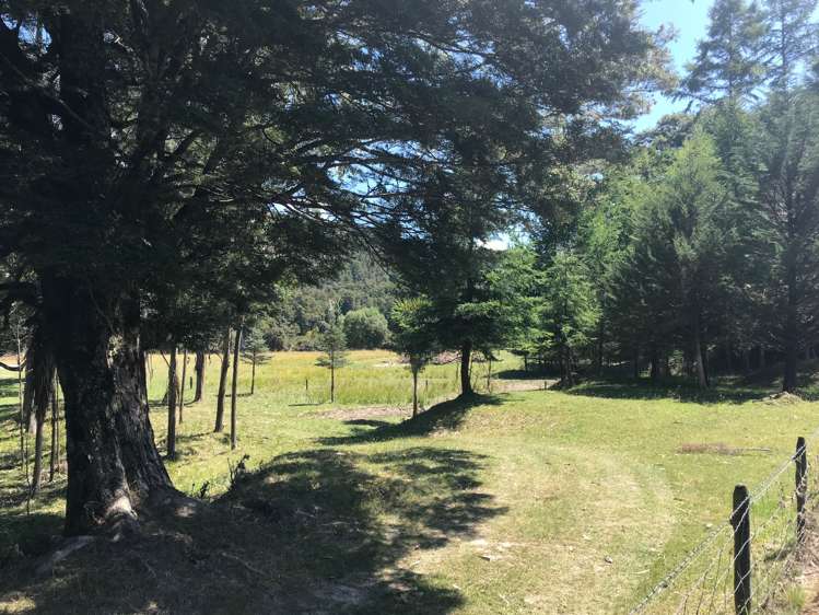 29 Moonlight Road Kahurangi National Park_9