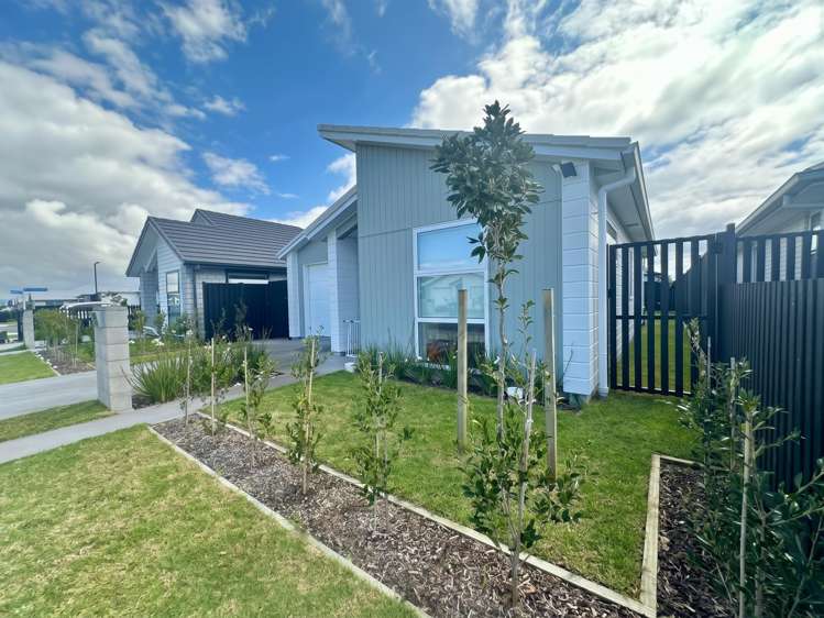 5 Brooklyn Street Papamoa_1