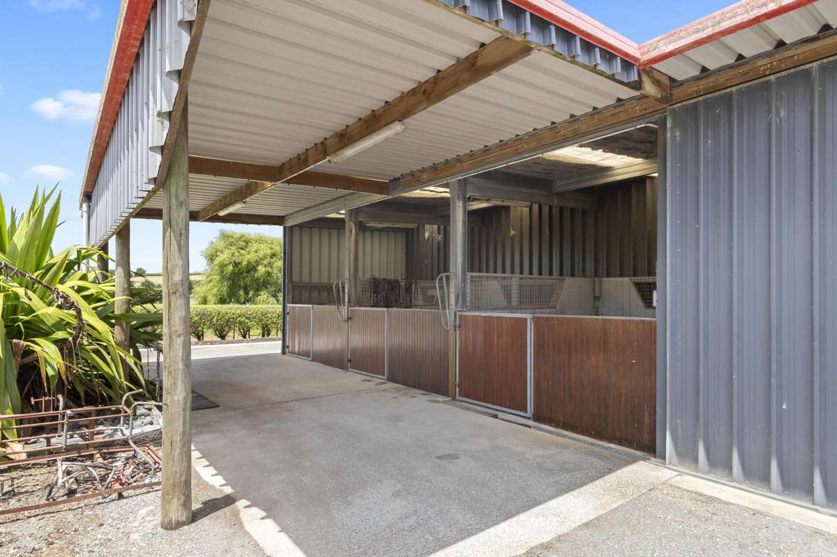 33 Jamieson Road_4