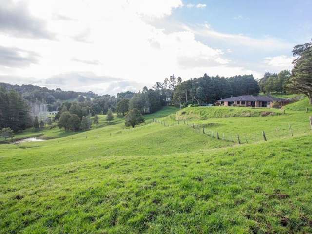 363 Vinegar Hill Road Kauri_1