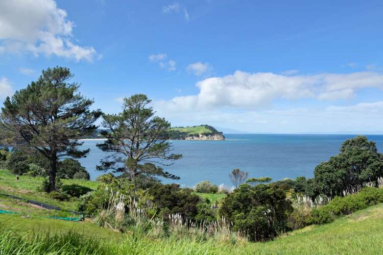 15 Palm View Terrace Gulf Harbour_11